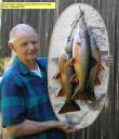 David A. Footer with his Classic Brook Trout cluster mount