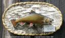 Restored 1956 Footer Brook Trout mount
