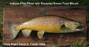 Panel: Antique Pine with Brown Trout mount