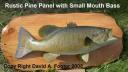 Panel: Rustic Pine with Small Mouth Bass Mount